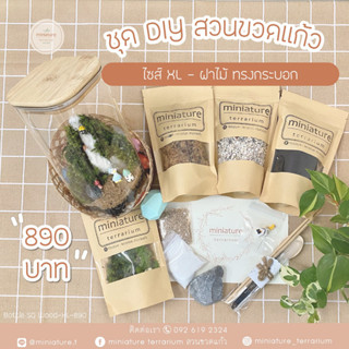 ชุดจัดสวนขวดแก้ว ไซส์ XL - ฝาไม้ ทรงกระบอก (10*20cm1600ml)