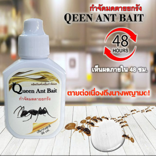 เหยื่อกำจัดมด Queen ant Bait  กำจัดมดยกรัง ฆ่ามด อาหารมด เจลกำจัดมด เจลฆ่ามดยกรัง กำจัดทัั้งรัง (ขนาดบรรจุ 30 กรัม)