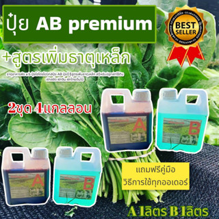 ปุ๋ย AB ผักดี ปุ๋ยน้ำ ปุ๋ยไฮโดรโปนิกส์ 2ชุด บรรจุแกลลอนละ 1 ลิตร สำหรับมือใหม่และฟาร์ม​ปลูกผักสลัด