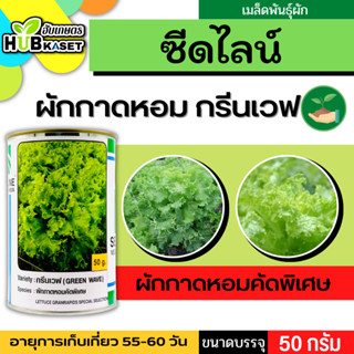 ซีดไลน์ 🇹🇭 ผักกาดหอมคัดพิเศษ กรีนเวฟ ขนาดบรรจุประมาณ 50 กรัม อายุเก็บเกี่ยว 55-60 วัน