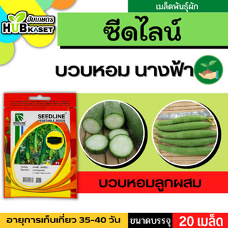 ซีดไลน์ 🇹🇭 บวบหอมลูกผสม นางฟ้า ขนาดบรรจุประมาณ 20 เมล็ด อายุเก็บเกี่ยว 35-40 วัน