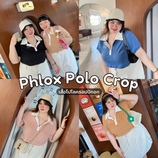 Phlox Polo Crop 🌼🥇🌈✨ฟล็อกซ์ โปโล ครอป