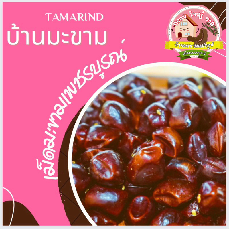เม็ดมะขามสำหรับปลูก คั่วกาแฟ ทำกาแฟมะขามได้ ขนาด 500 กรัม