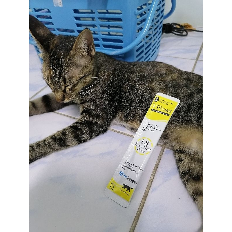 VF+Core อาหารเสริมL-Lysine