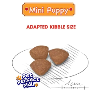 Royal Canin Mini Starter 8.5kg / Mini Puppy 8kg โรยัลคานิน แม่สุนัข ลูกสุนัข พันธุ์เล็ก กระสอบขนาด 8 กิโลกรัม