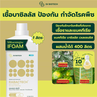 เชื้อแบคทีเรียบาซิลลัส เวเลเซนซิส ชนิดน้ำ มาตรฐาน IFOAM กำจัดโรคราแป้ง ราสนิม ราน้ำค้าง เหี่ยวเขียว แคงเกอร์ ขนาด 1 ลิตร