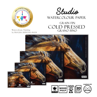 180x125mm MUSEO The LEGEND Studio Watercolor Block Woodpulp สมุดสีน้ำ มูซิโอ้ เดอะเลเจนด์ กาว4ด้าน