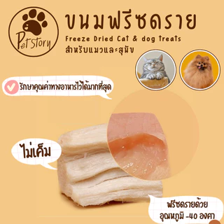 ขนมฟรีซดราย ไก่ฟรีซดราย แซลมอนฟรีซดราย ขนมแมว ขนมหมา Freeze Dried for Cat & Dog [Pet_Story]