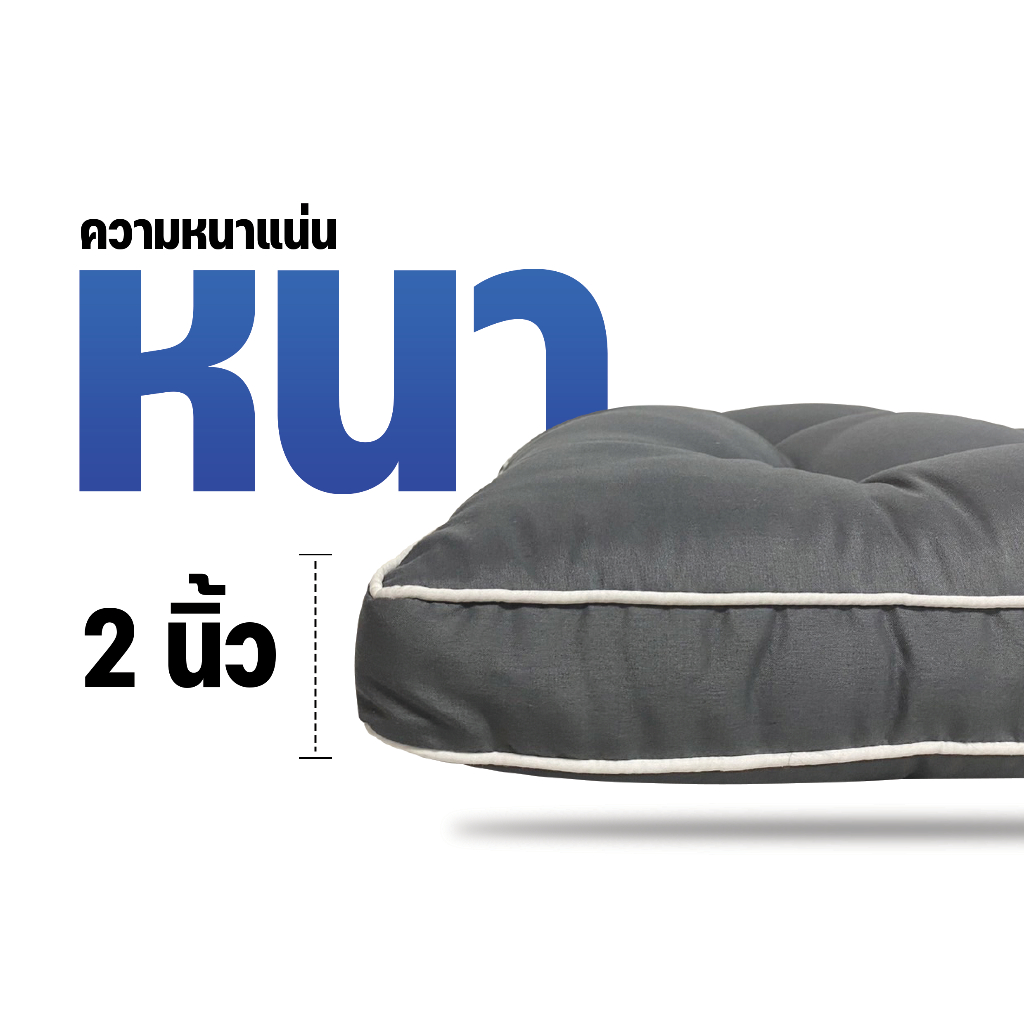 เบาะรองนั่ง รุ่น Carry ขนาด 45 X45 ซม.หนา2นิ้ว พกพาสะดวก หิ้วไปไหนก็ได้ นุ่มแน่น รูปที่ 5