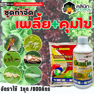 🥬 ชุดกำจัดเพลี้ย คุมไข่ บีนแบ็ค+ไทอะมีทอกแซม (บูโพรเฟซิน+ไทอะมีทอกแซม) บรรจุ 1ลิตร+1กิโลกรัม คุมไข่ เพลี้ยไฟ เพลี้ยแป้ง