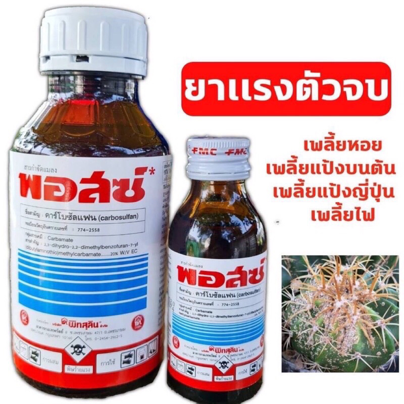 พอสซ์ คาร์โบซัลแฟน 20% 100ซีซี หยุดแมลงร้ายที่คอยกวนใจ กำจัดเพลี้ยหอย เพลี้ยไฟ เพลี้ยแป้ง หนอน แมลงหวี่