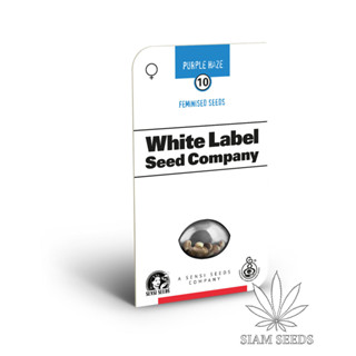 เมล็ดกัญชา White Label Purple Haze Fem Cannabis Seeds (Pack of 3)