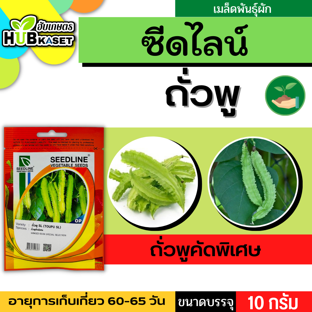 ซีดไลน์ ถั่วพูคัดพิเศษ SL ขนาดบรรจุประมาณ 10 กรัม อายุเก็บเกี่ยว 60-60 วัน