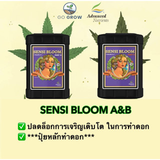 พร้อมส่ง Sensi Bloom Part A&amp;B *ปุ๋ยหลักทำดอกของแท้100%จาก USA ขวดจรืง