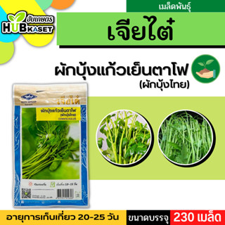 เจียไต๋ 🇹🇭 ผักบุ้งแก้วเย็นตาโฟ(ผักบุ้งไทย) ขนาดบรรจุประมาณ 230 เมล็ด อายุเก็บเกี่ยว 20-25 วัน