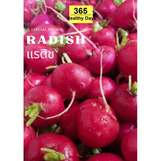 RADISH แรดิช สด ใหม่ 1 kg.