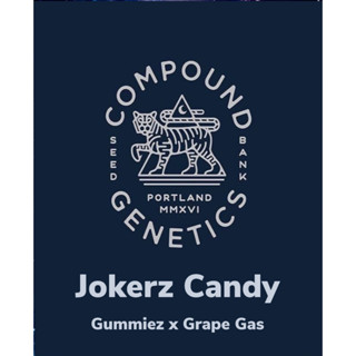 ต้นโคลน กิ่งชำพืชสมุนไพรควบคุม Jokerz Candy  ค่าย Compound Genetics (พันธุ์นอก ค่ายแท้ เพศเมีย 100%) เลี้ยงในระบบปิด