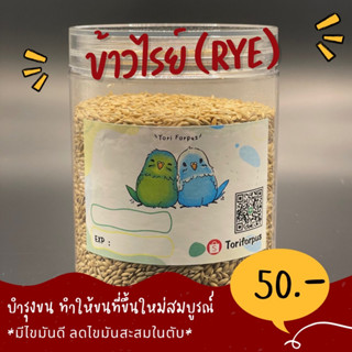 อาหารนก ข้าวไรย์ ( Rye ) มีไขมันดี ลดไขมันสะสมในตับ ,ไฟเบอร์ช่วยระบบย่อย ,วิตามิน บำรุงขน ขนที่ขึ้นใหม่สวยงามสมบูรณ์