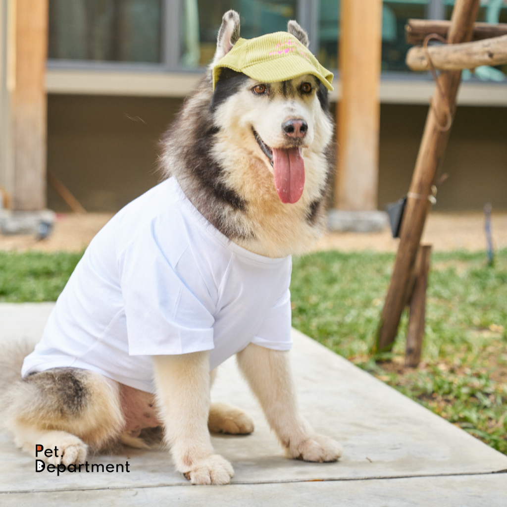 White Pet Basic Tee เสื้อยืดคอกลม แขนสั้น สำหรับหมา แมว กระต่าย
