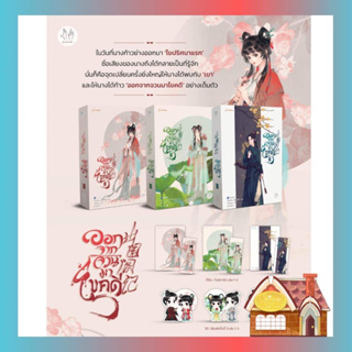 [พร้อมส่ง] ออกจากจวนมาไขคดี เล่ม 1-3 (10 เล่มจบ)