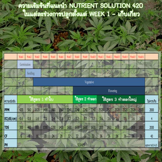 ปุ๋ยเร่งดอก ทำใบ Nutrients solution 420 สูตรทำใบ สูตรทำดอกและสูตรทำดอกใหญ่ ขนาด1000 ml