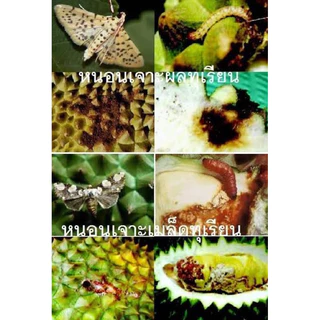 กำจัดหนอน ซาเรส อีมาเมกตินเบนโซเอท หนอนข้าวโพด หนอนทุเรียน นอนกินผัก