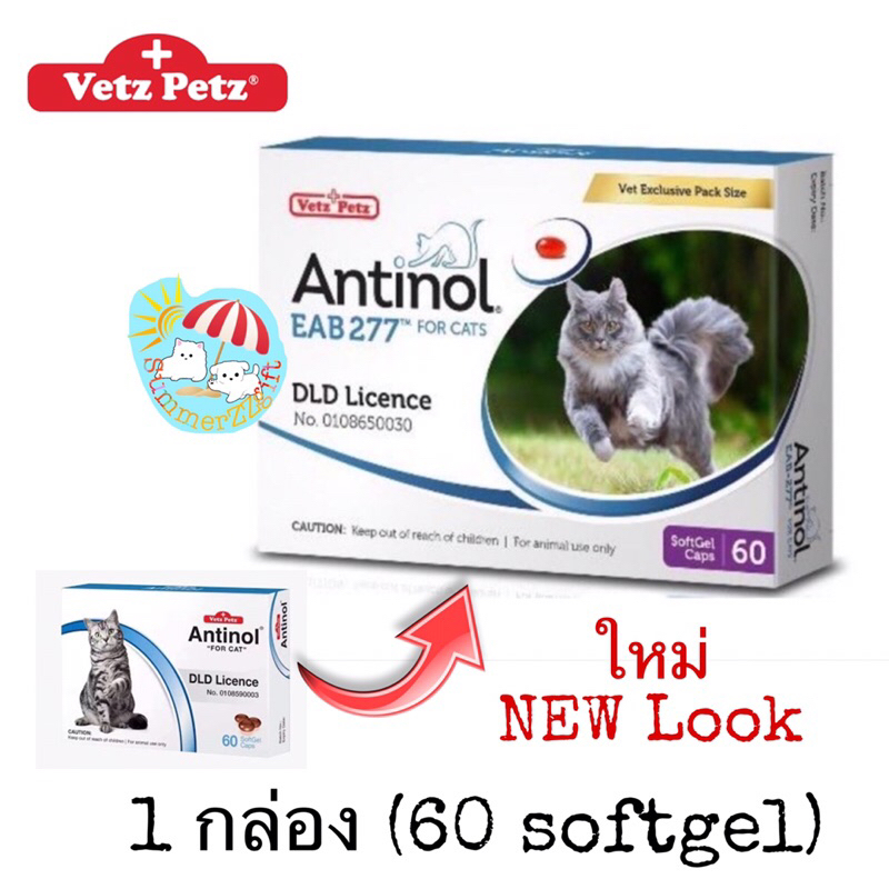 Antinol cat (แพคเกจใหม่ Exp.07/2024) แอนทินอล แมว บำรุงกระดูกและข้อ (60แคปซูลเจล*1กล่อง) ลดการระคายเคืองผิวหนัง