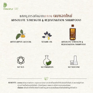 แชมพูสมุนไพร Principle พริ้นซิเพิล มะหาด โรสแมรี่ ผมงอกใหม่ แชมพูลดผมร่วง ไม่มีซิลิโคน ไม่มีพาราเบน