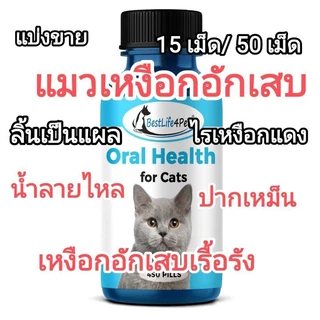 แบ่งขาย ผลิตภัณฑ์ดูแลช่องปากแมว เหงือกแมว เหงือกและฟันแมว แมวปากเหม็น มีหินปูน