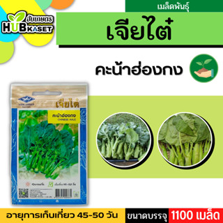 เจียไต๋ 🇹🇭 คะน้าฮ่องกง ขนาดบรรจุประมาณ 1100 เมล็ด อายุเก็บเกี่ยว 45-50 วัน