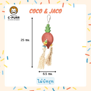 Coco &amp; Jaco ของเล่นนก ไม้บีทรูท