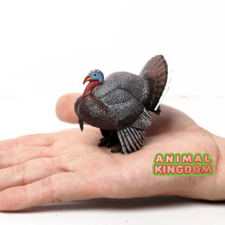 Animal Kingdom - โมเดลสัตว์ ไก่งวง ขนาด 6.00 CM (จากสงขลา)