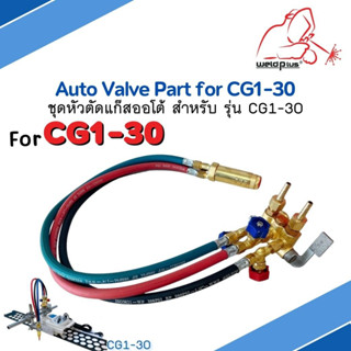 Auto Valve part for CG1-30 ชุดหัวตัดแก๊ส หัวเดี่ยว  สำหรับเครื่อง รุ่น CG1-30 WELDPLUS