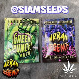 เมล็ดกัญชา Urban Legends Green Punch Auto Cannabis Seeds (Pack of 5)