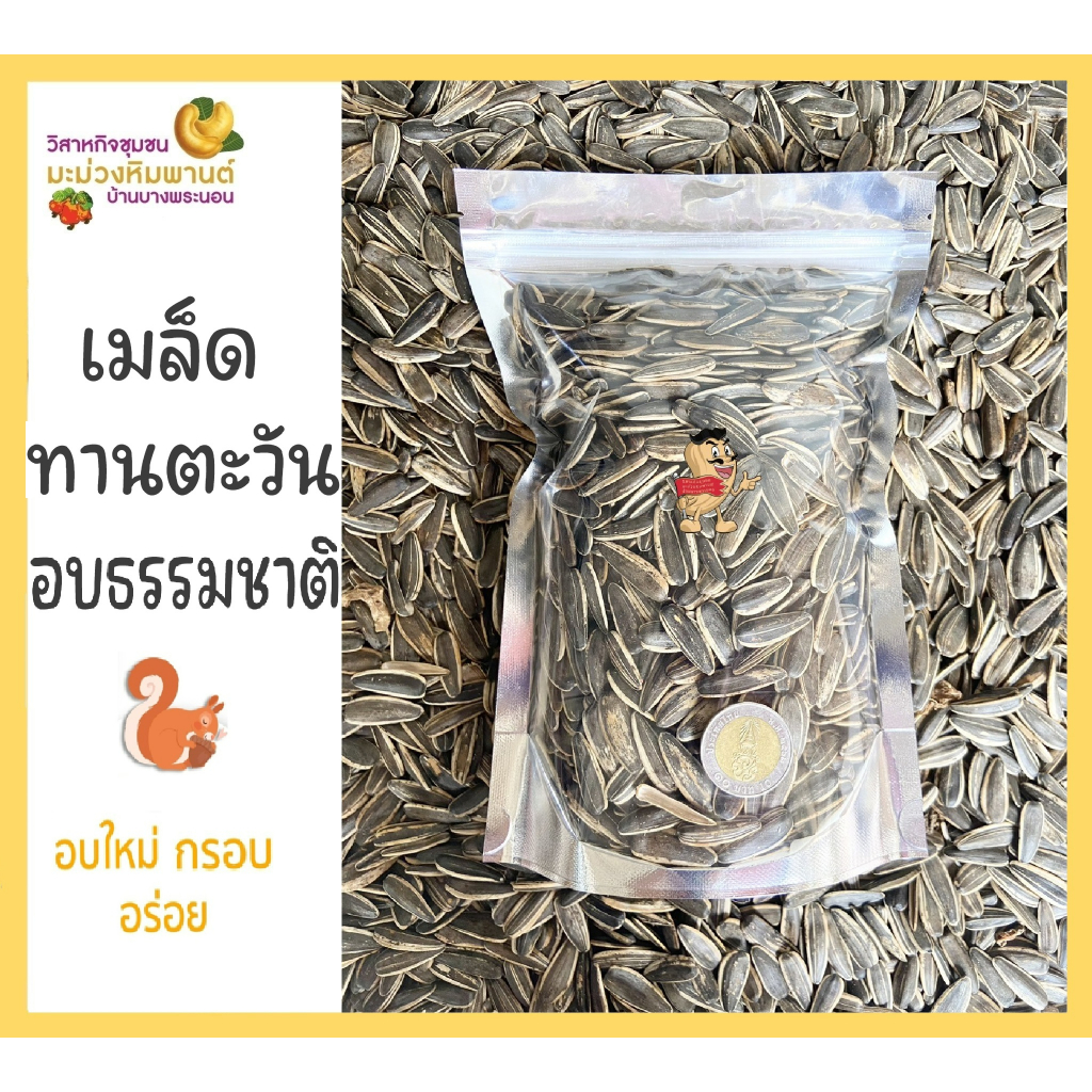 เมล็ดทานตะวัน มีเปลือก อบธรรมชาติ ขนาด 100 กรัม อบใหม่ กรอบ อร่อย โดยวิสาหกิจชุมชนมะม่วงหิมพานต์