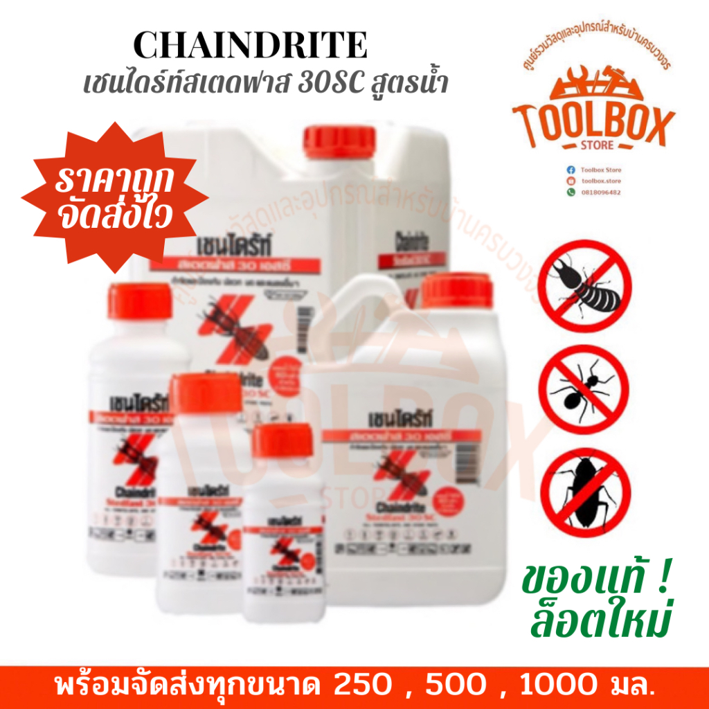 เชนไดร้ท์ สเตดฟาส สูตรน้ำ สำหรับราด ฉีด พ่น กำจัด ปลวก มอด มด แมลง Chaindrite Stedfast 30SC ยาฆ่าแมลง เชนไดรท์ ของแท้