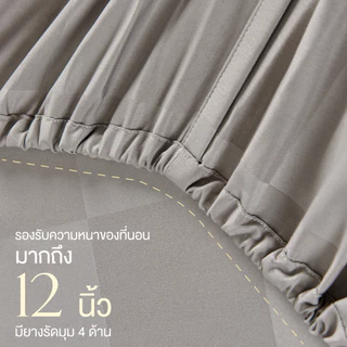 ibed ผ้าปูที่นอน ปลอกหมอนหนุน ปลอกหมอนข้าง (ทอลายตาราง) ขนาด 3.5 ฟุต 5 ฟุต 6 ฟุต (รวมทุกสี)