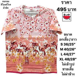 เสื้อยืดแตงโมคอกลมโปเชี่ยล