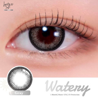 Watery gray พร้อมส่งสายตาปกติและค่าสายตา (lovelysoft)