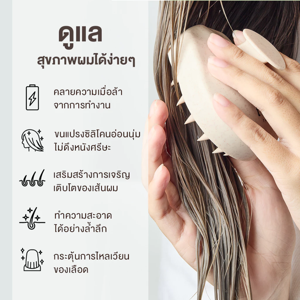 แปรงสระผม Scalp Brush สระผมให้สะอาดยิ่งขึ้น วัสดุจากข้าวสาลีเป็นมิตรกับสิ่งแวดล้อม thumbnail 6