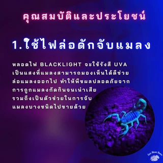 หลอดไฟดักแมลง ขั้วE27 หลอดไฟล่อแมลง ไฟแสงสีม่วง Black Light 45W 65W 85W รุ่น TSM-PP65,TSM-PP85