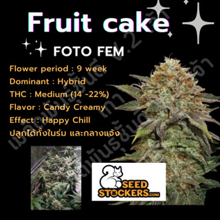 เมล็ดกัญชานอก นำเข้า งานค่าย แท้ 💯 มีแพ็คเกจ เมล็ดพันธ์ุกัญชาสายพันธุ์ Fruit cake (ค่ายSeed stockers)