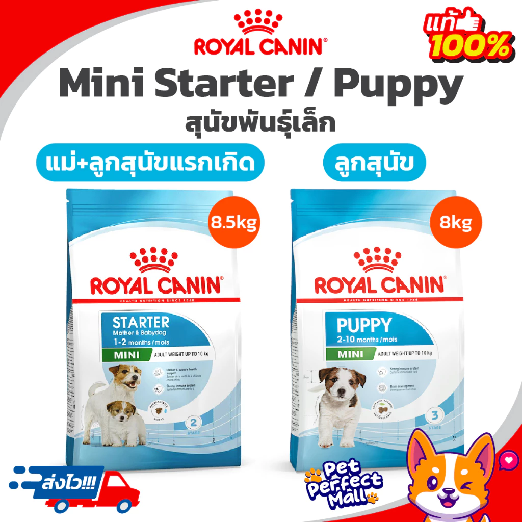 Royal Canin Mini Starter 8.5kg / Mini Puppy 8kg โรยัลคานิน แม่สุนัข ลูกสุนัข พันธุ์เล็ก กระสอบขนาด 8 กิโลกรัม