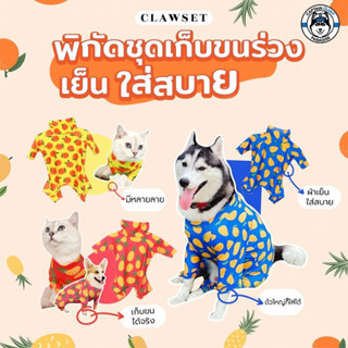 Clawset Fruity Collection ชุดกันขนร่วง ลายผลไม้ มะม่วง ส้ม สัปปะรด