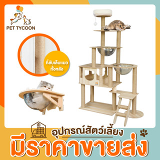 [🔥ขายส่ง] Pet Tycoon คอนโดแมว แบบไม้ สูง 165 Cm 135 Cm และ 142 Cm พร้อมโดมนอนแบบใสและบันได เสาลับเล็บทั้งต้น