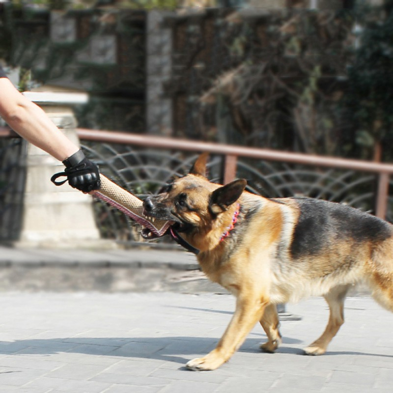อุปกรณ์ฝึกสุนัขสำหรับกัด เชือกของเล่นฝึกสุนัข มีหูจับ 2 ด้าน Biting Dog Training Profess