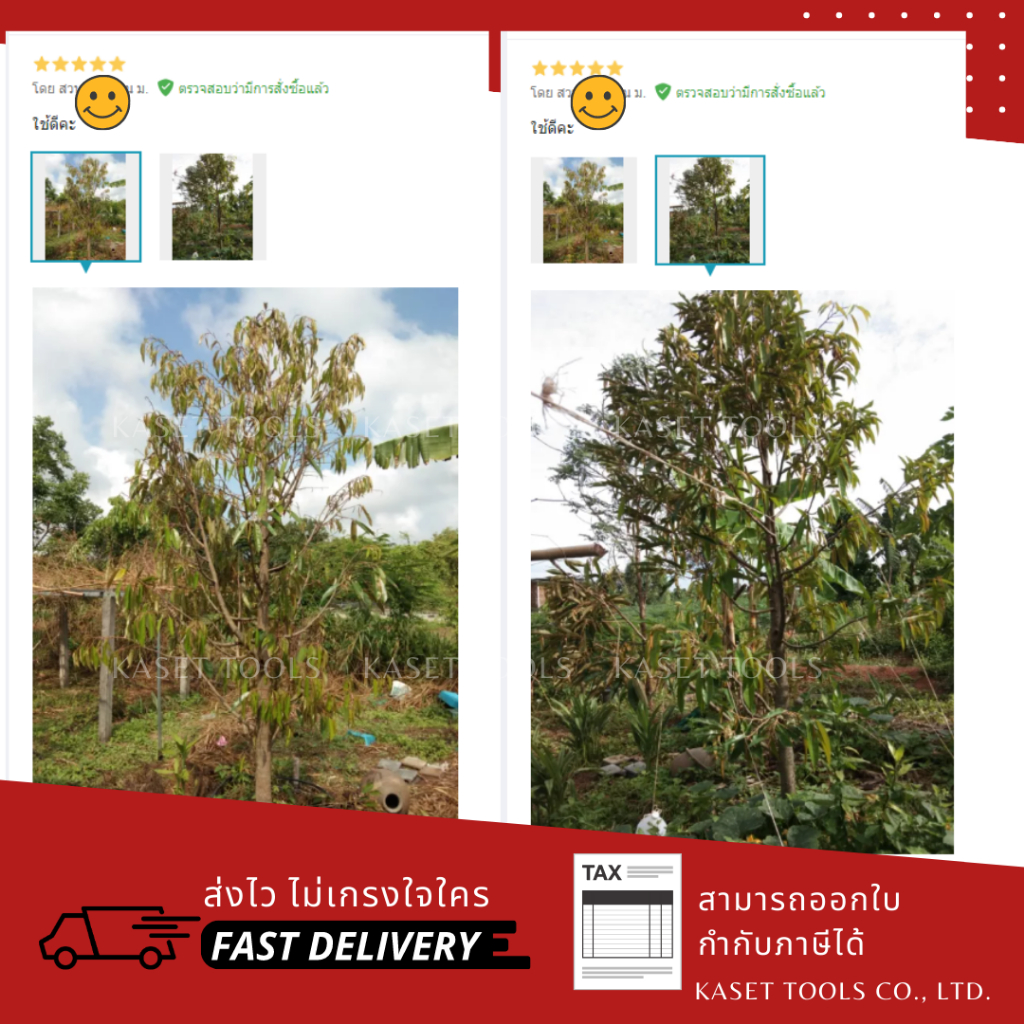 พลูโต ไบโอกรีน (Pluto) สารปรับปรุงดิน ป้องกันโรครากเน่า ฟื้นฟูต้นโทรม (ออกใบกำกับภาษี/พร้อมส่ง) - รูปที่ 3