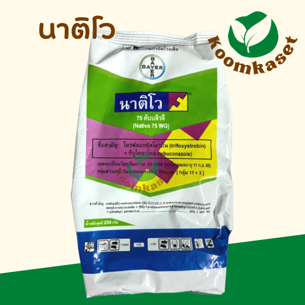 นาติโว 75 ดับบลิวจี (ทีบูโคนาโซล+ไตรฟลอกซีสโตรบิน) โรคใบไหม้ที่เกิดจากเชื้อรา ช่อดอกดำ เอเทียจ