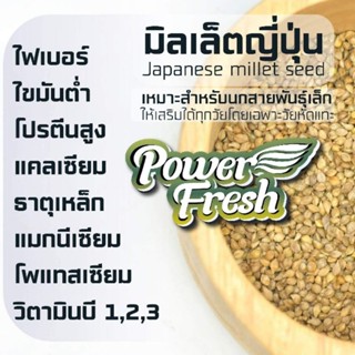 🌟พร้อมส่ง🌟 🌾มิลเล็ตญี่ปุ่น Japanese Millet🌾