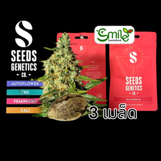 เมล็ดกัญชา Seeds Genetics.Co - OG Kush (Fem)